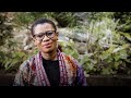 Freetown's Environmental Challenges and Initiatives