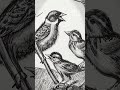 Understanding Nick Bostrom's Fable and AI Implications