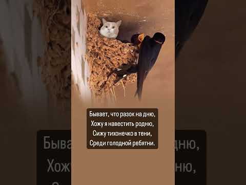 Эксклюзивное поздравление близким в стихах ➡️ читай описание