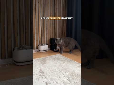 ✨ арт. OZON 1593379967 СКИДКА в описании