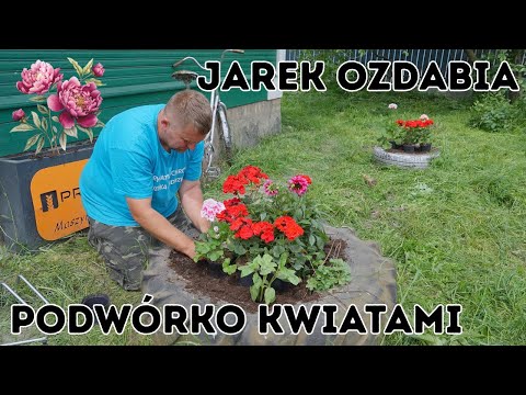 Jarek ozdabia ogród kwiatami w Plutyczach Jak to zrobi Rolnicy z Podlasia Gienek i Andrzej