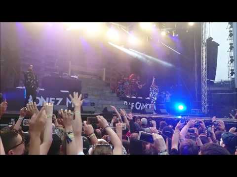 Bonez MC & Raf Camora - Geschichte (Urban Art 2017 Live)