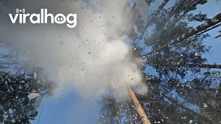 Making Snow Fall in the Forest || ViralHog