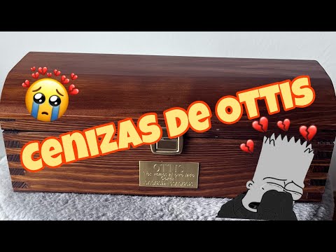 YA TENEMOS LAS CENIZAS DE OTTIS 🥺😭💔