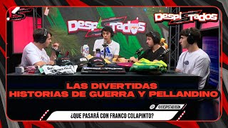 DESPISTADOS - Las divertidas historias de Guerra y Pellandino