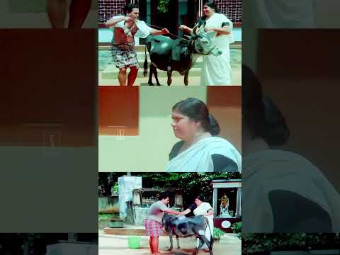 ഭഗവാനെ പുള്ളി പശുവെന്ത വെള്ള പശു ആകുന്നത് Cheriya Lokavum Valiya Manushyarum Innocent Malayalam Come
