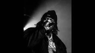 [FREE] BigXThaPlug Sample Type Beat "Blood On The Leavz"