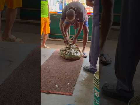 ആ ഭാണ്ഡകെട്ട് കണ്ടപ്പോ എന്തെന്നില്ലാത്ത ആകാംഷയായിരുന്നു 😱😨🥹 #fishing #fisherman #fishmarket