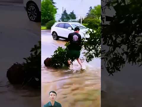 Bứng cây che hố ga ngập nước #foryou #viral #trending