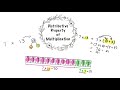 Exploring the Distributive Property of Multiplication