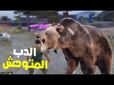 البوت الغني معا الدب المتوحش 🐻😱 هامجني بحسابه في أكثر من 500 مثك وصدمته بل نهاية🔥😎