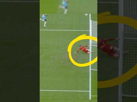 أفضل تدخلات التي أبدع فيها مدافعين في انقاذ المرمى #روبرتسون #كوبارسي #اروخو ##kobarsi #robeujo
