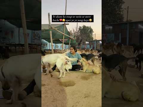 Is video mein kya dekha aap ko?