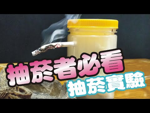 抽菸者必看｜抽烟實驗｜抽菸的危害｜抽烟的肺部 - YouTube