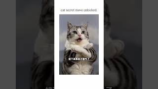 #CatVideos #AlAnimation #FunnyCats #KlingAl #Shorts #EpicBattle #CGI #VFX #TrendingShorts #ai