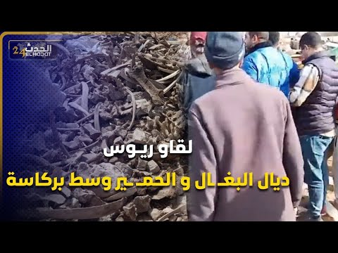 لقاو ريــوس معرفوهم واش ديال البغــ ـال ولا الحمــ ــير وسط  بركاسة