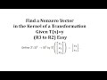Understanding the Kernel of a Transformation