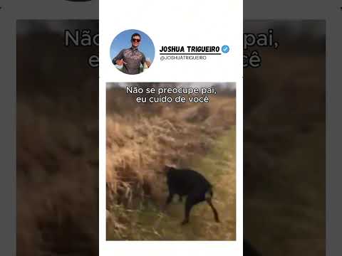 #fypage #explore #agro #campo #jatz #joshuatrigueiro #fyp