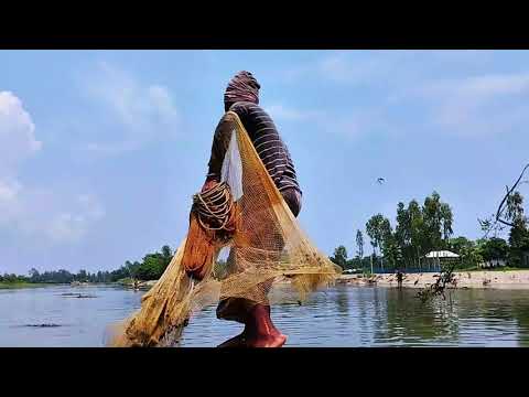 Very Intelligent Fisherman Net Fishing in Village River