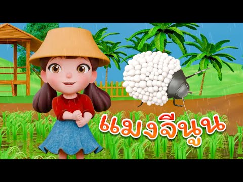 ฝนเทลงมา (แมงจีนูน) ร้องคู่ เสียงน้องวรรณกับน้องมาร์ค