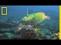 Exploration and Discoveries at Cocos Island