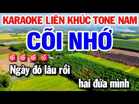 Karaoke Liên Khúc Dễ Hát Beat Nam – Cõi Nhớ – Giã Từ | Huỳnh Lê