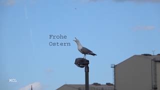 AIDAnova / Osterreise nach Norwegen / Hamburg 04.04.2026