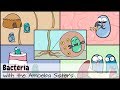 Understanding Bacteria