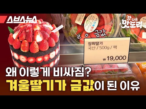 요즘 딸기 왜 이렇게 비쌈? 논산 딸기연구소에 직접 물어봤습니다. [갓 나온 맛도리 EP.108] / 스브스뉴스