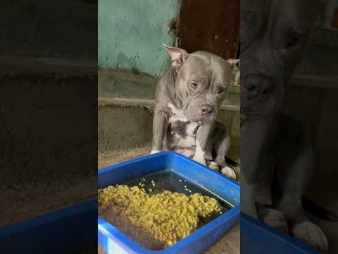 അതൊന്നും എനിക്കി അറിയണ്ട ഇന്നലെ 😹😘🙂 #shortsfeed