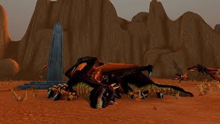 Taqdimotchi efirda yalangoch