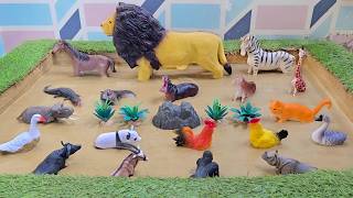 An Adventure into the Bond of Forest Wild Animals and Endangered Species
