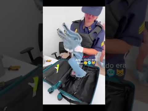 Caraca kkkk cara é um gênio