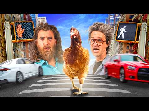 We Got A Chicken To Cross The Busiest Road In America