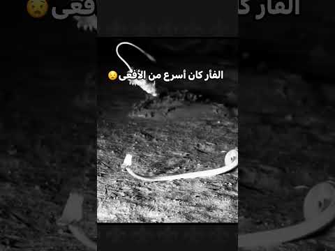 سبحان الله❤️ #لاتنسى_الاشتراك