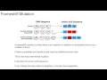 Frame Shift Mutations in DNA