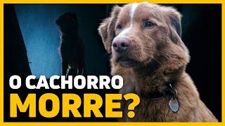 GOOD BOY: O CACHORRO MORRE NO FINAL? Novo TERROR Protagonizado por CACHORRO (2025)