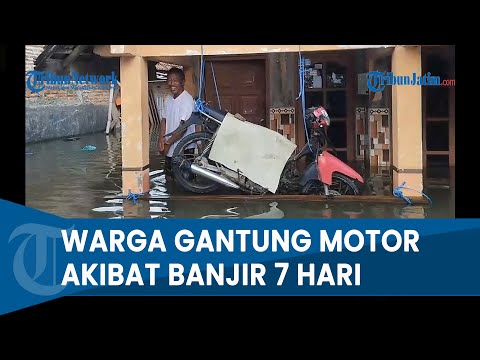 DUA DESA DI MOJOKERTO LUMPUH AKIBAT BANJIR Tinggi 7 Hari, Pedagang Harus Gantung Sepeda Motor