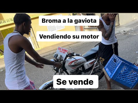 Broma a la gaviota vendiendo su motor🤣🤣 Lasocurrenciasdemistios