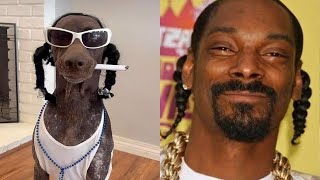 Tiere, von denen du nicht glaubst, dass sie wie berühmte Rockstars aussehen
