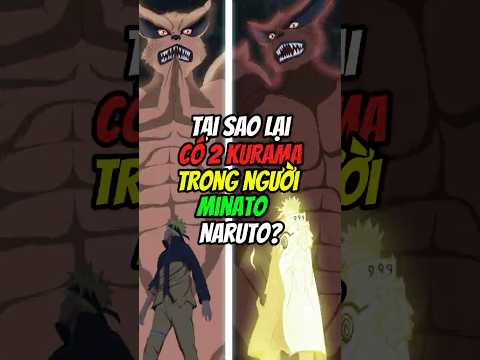 Tại sao trong Naruto lại có tận 2 con Kurama?  #naruto #anime