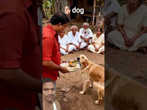 puppy shrots vlog video