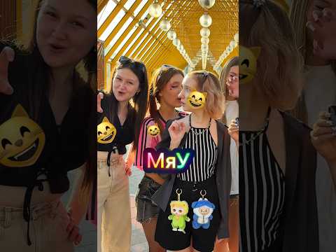 ГОВОРЮ ДРУЗЬЯ ТОЛЬКО МЯУ😼 #fire_di #юмор #подпишись #популярное