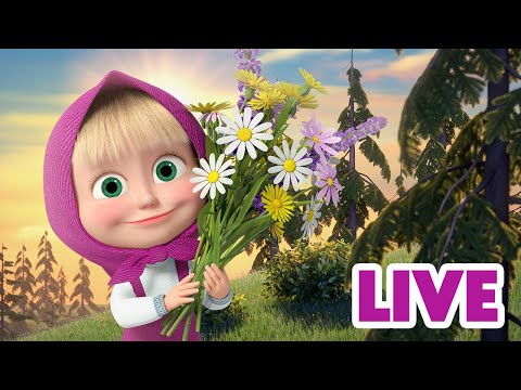 🔴 LIVE 🎥 🐻 מאשה תשפר את המצב שלך 🐧 ילדים קריקטורות 👱‍♀️ מאשה והדוב ⭐️