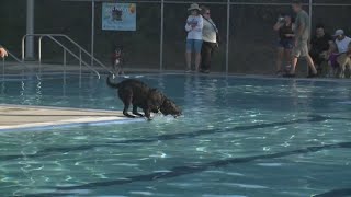 Doggie Dips at Spokane pools kicks off this weekend