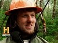 Understanding Crew Dynamics and Safety in Logging