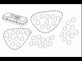 Counting Patterns and Sequences