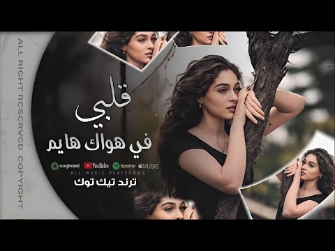 قلبي في هواك هايم ( اغاني مغربية ترند 2026 ) ترند التيك توك #مطلوبه اكثر شي 2025