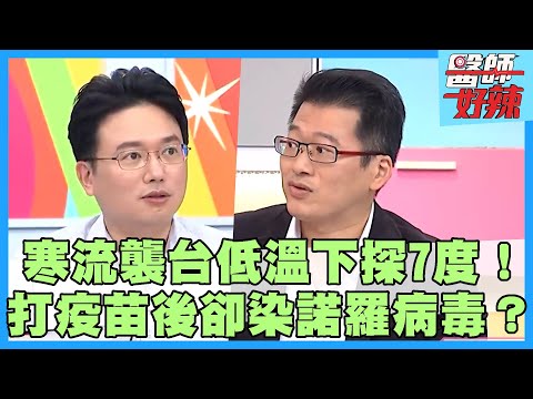 寒流襲台低溫下探7度！小孩感冒病毒接踵而來？打流感疫苗後高燒多日卻染「諾羅病毒」？【#醫師好辣】孫國豪 田知學 黃彥鈞 主題特映版