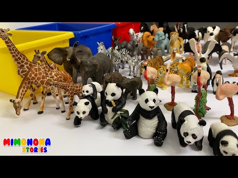 Familia de Animales 🐼🐯 Numeros del 1 al 5 - Videos infantiles ✨ Mimonona Stories